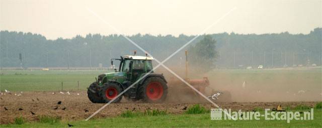 Tractor met stuivende cultivator Lagendijk 2.