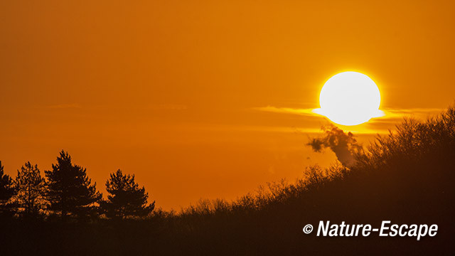 Zonsopkomst, opkomende zon, boven de duinen, NHD Bergen 2 020214