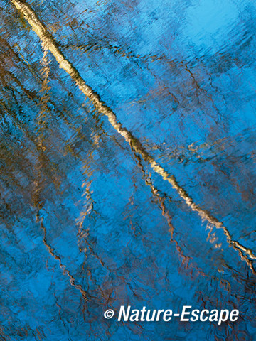 Berk, reflectie in water, lijnenspel, AWD1 030214