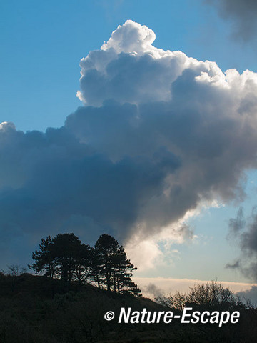 Wolken, dreigende wolken, boven dennen en duinlandschap, NHD Bergen 2 190115
