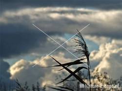 Wolken boven infiltratiegebied NHD Castricum 14