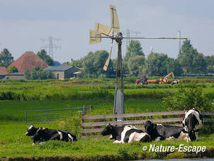 Polderlandschap, koeien, tractor met kar,watermolentje, boerderij, Zwmp1 250709