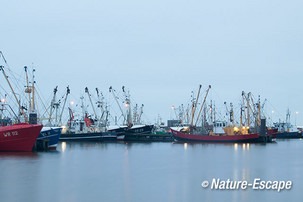 Vissersboten, na zonsondergang,  haven van Lauwersoog 2 050113