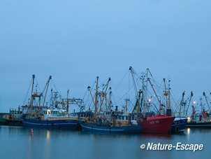 Vissersboten, na zonsondergang,  haven van Lauwersoog 1 050113