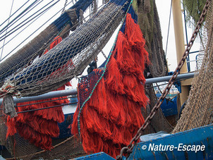 Visnetten, op een vissersboot, haven Lauwersoog 2 050113