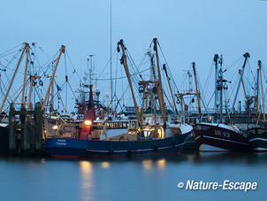 Vissersboten, na zonsondergang,  haven van Lauwersoog 8 050113