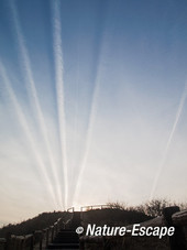 Vliegtuigstrepen, bij ondergaande zon, uitzichtduin, NHD Cas 3 180213