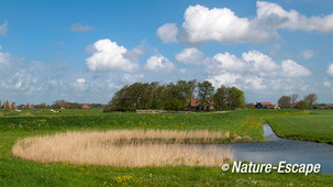 Wiel, of kolk, Noordeindermeerpolder 3 panorama 090513