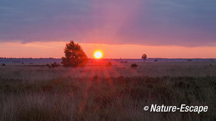 Opkomende zon, zonsopkomst, Dwingelderveld 1v3 300514 