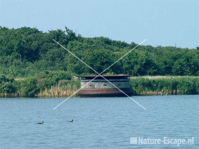 Drijvende observatiehut in Zwanenwater.