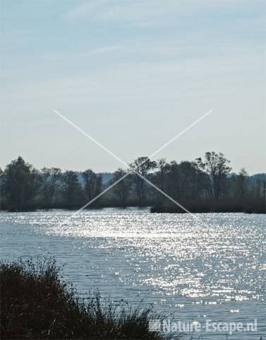 Veenplas Fochteloërveen 1