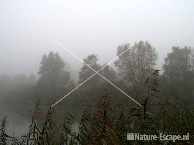 Zicht met mist vanuit observatiehut AWD1