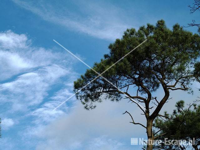 Den tegen blauwe lucht AWD1