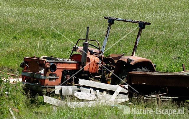 Rommelhoekje met oude tractor De Reef 4