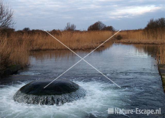 Waterinlaat Infiltratiegebied NHD Castricum 2