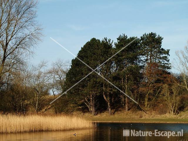 Bij het Zwarteveldkanaal AWD1