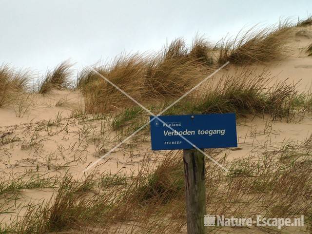 Waarschuwing zeereep bij Parnassiastrand Bloemendaal 1