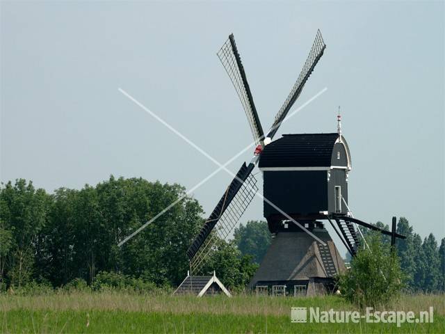 Wipwatermolen, De Vlietmolen Purperreiger wandeling 4