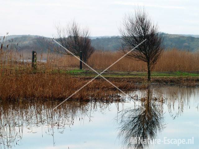 Infiltratiegebied Noordhollands Duinreservaat Castricum