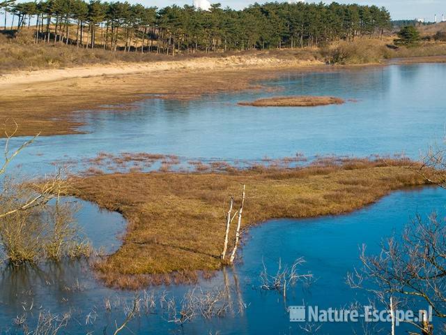 Eilandjes in bevroren Vogelmeer NPZK1 140209