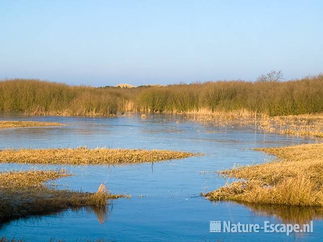 Zwanenwater, winter Zww1 310109