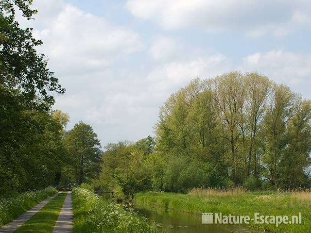 Landschap Westbroekroute 1 020509