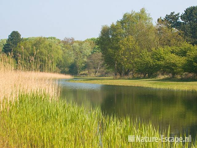 Zwarteveldkanaal, AWD1 300409