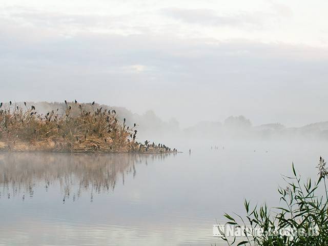 Hoefijzermeer, in ochtendmist, NHD Castricum 2 260909