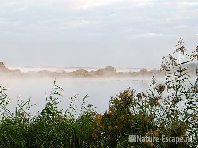 Hoefijzermeer, in ochtendmist, NHD Castricum 3 260909