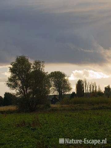 Landschap met huisje, dreigende wolken, Wijkermeerpolder 2 181009