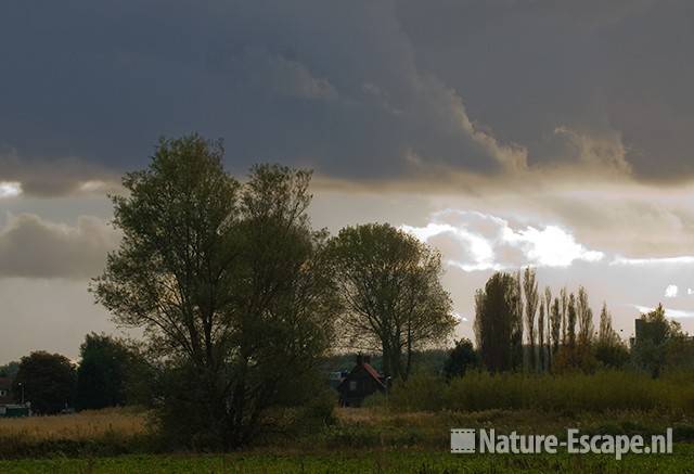 Landschap met huisje, dreigende wolken, Wijkermeerpolder 1 181009