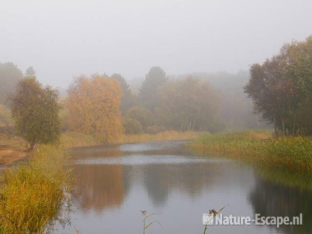 Langs het Zwarteveldkanaal, in de mist, AWD2 231009