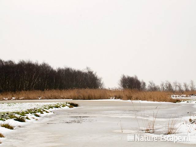 Ham en Crommenije, winter, Lagendijk Uitgeest 1 160110