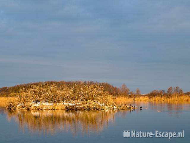 Hoefijzermeer in winterlicht, NHD Castricum 1 191209