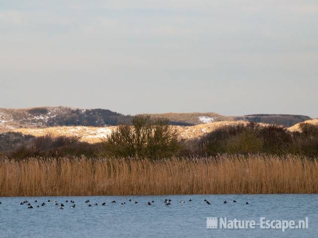 Infiltratiegebied, winter, NHD Castricum 1 191209