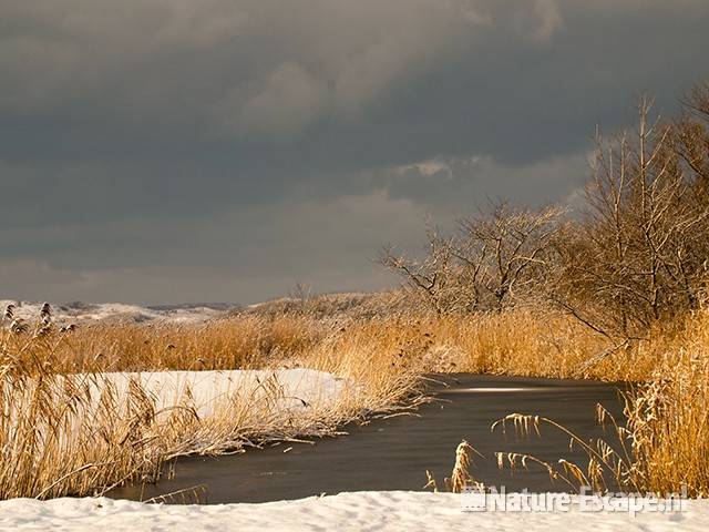 Infiltratiekanaal in inflitratiegebied NHD Castricum, sneeuw, 020110