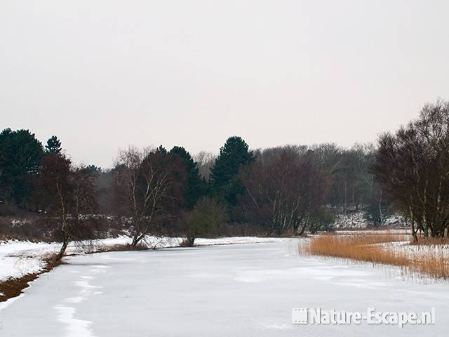 Zwarteveldkanaal, winter, AWD1 150110