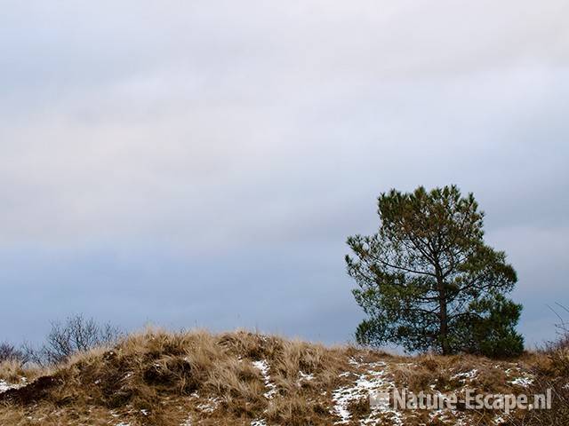 Den op helling bij ingang Zwanenwater 2 130210