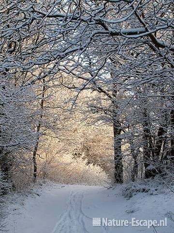 Wandelpad, sneeuw, NHD Heemskerk2 300110