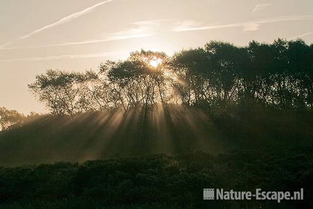 Zonsopkomst, NHD Heemskerk 1 011010