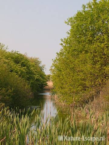 Doorkijkje op infltratiekanaal, AWD1 300411