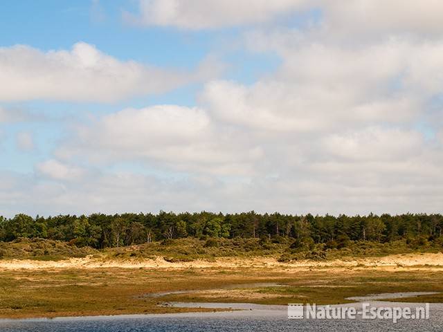 Doornvlak, landschap, NHD Bakkum 2 150711