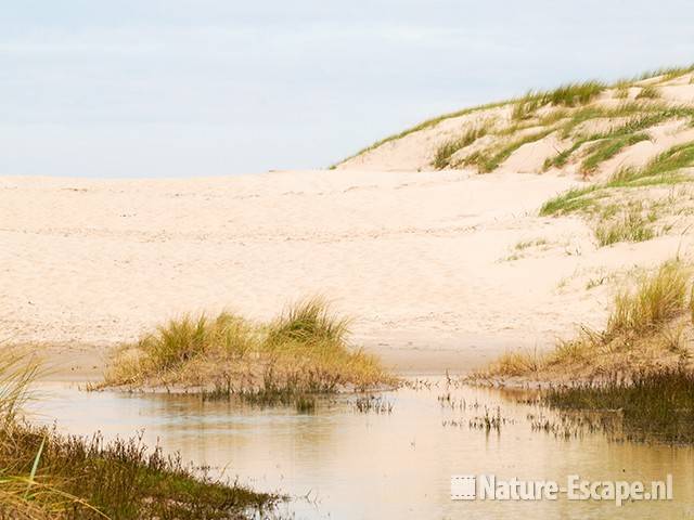 Water in de Kerf, SBB Schoorl1 100911