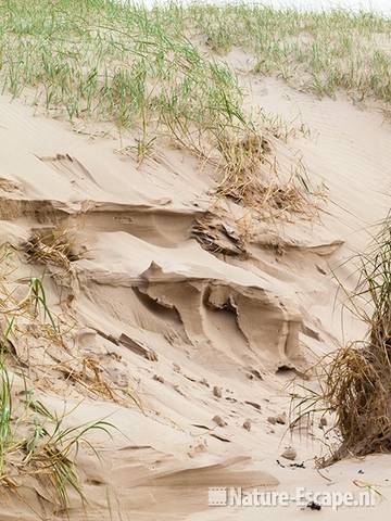 Zand, erosie, duinen, de Kerf SBB Schoorl 4 100911