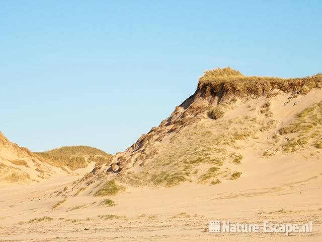 Duinafslag, op strand Heemskerk 2, 041111