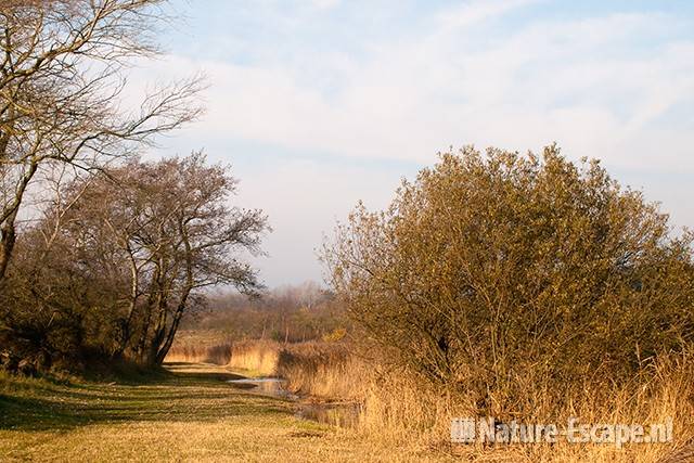 Langs het Zwarteveldkanaal, AWD3 121111