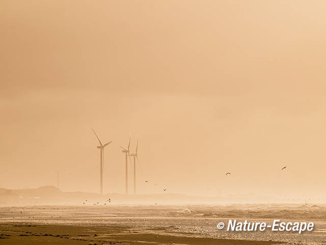 Windmolens Reyndersweg vanaf strand Heemskerk 1 301211