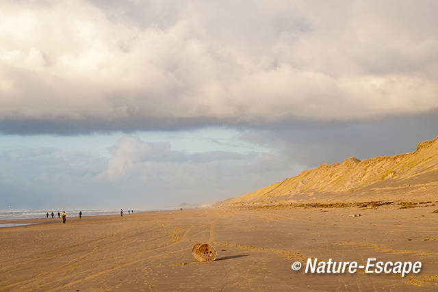 Strand, bij Heemskerk 3 301211