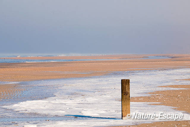 Strandpaal, in ijs, strand Heemskerk 1 040212