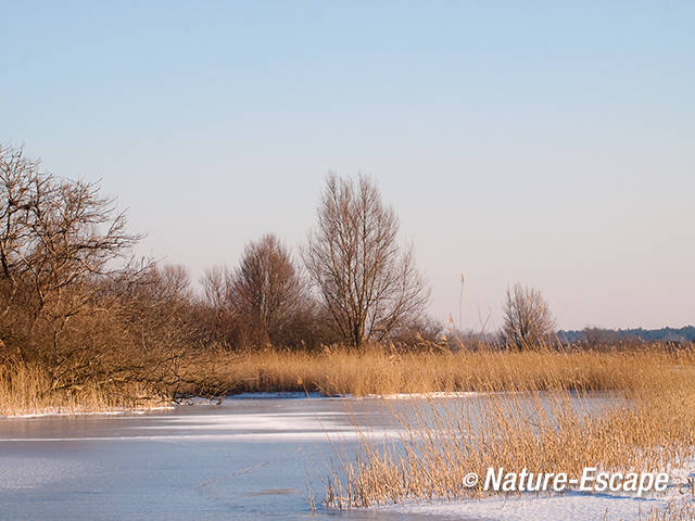 Infiltratiekanaal, bevroren, NHD Castricum 1 110212